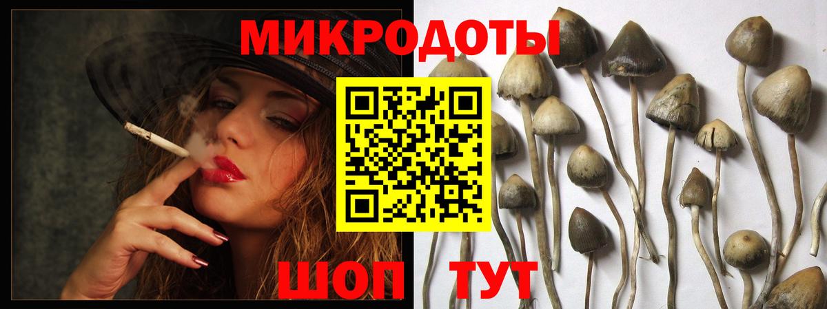 Асино  Псилоцибиновые грибы Cubensis  Вход с VPN  Галлюциногенные грибы мухоморы 